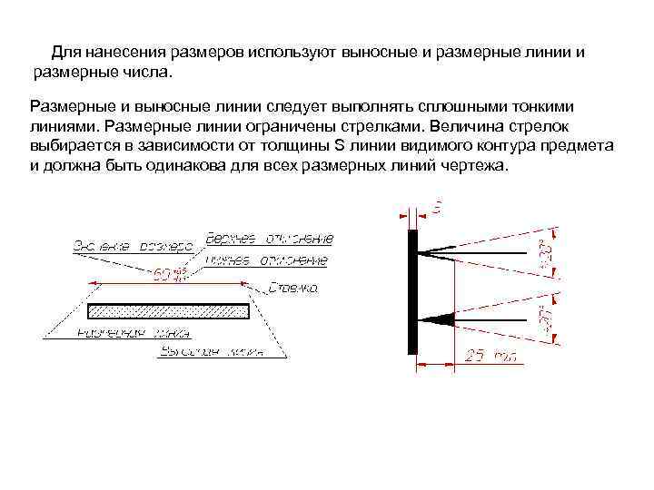 Размерная линейка на чертеже