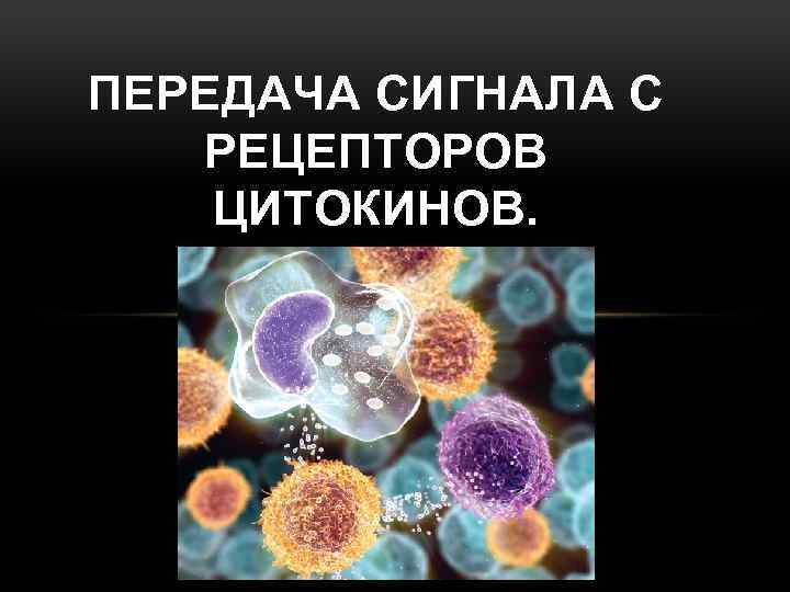 ПЕРЕДАЧА СИГНАЛА С РЕЦЕПТОРОВ ЦИТОКИНОВ. 