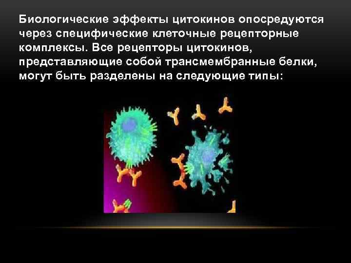Биологические эффекты цитокинов опосредуются через специфические клеточные рецепторные комплексы. Все рецепторы цитокинов, представляющие собой