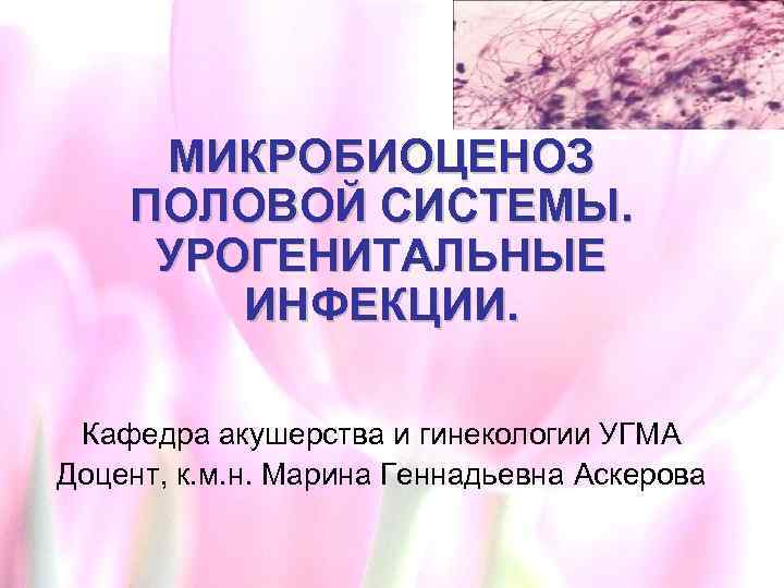 МИКРОБИОЦЕНОЗ ПОЛОВОЙ СИСТЕМЫ. УРОГЕНИТАЛЬНЫЕ ИНФЕКЦИИ. Кафедра акушерства и гинекологии УГМА Доцент, к. м. н.