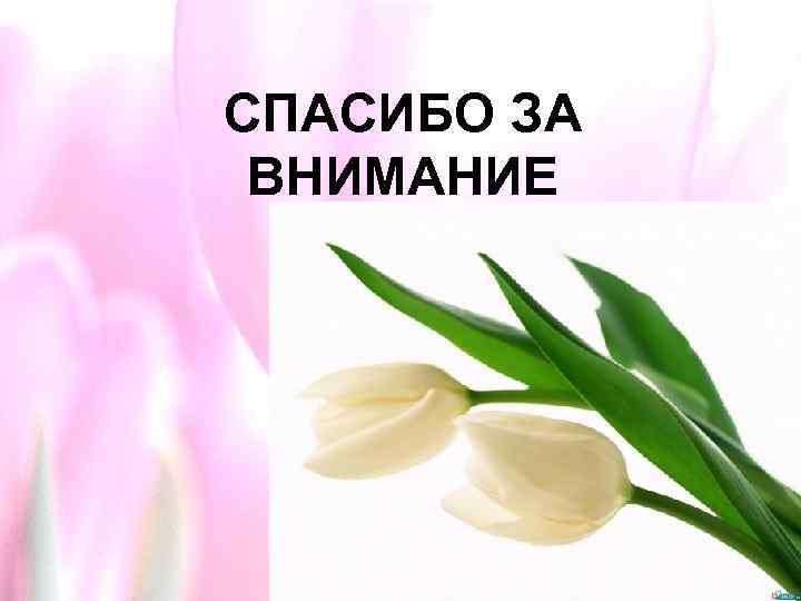 СПАСИБО ЗА ВНИМАНИЕ 