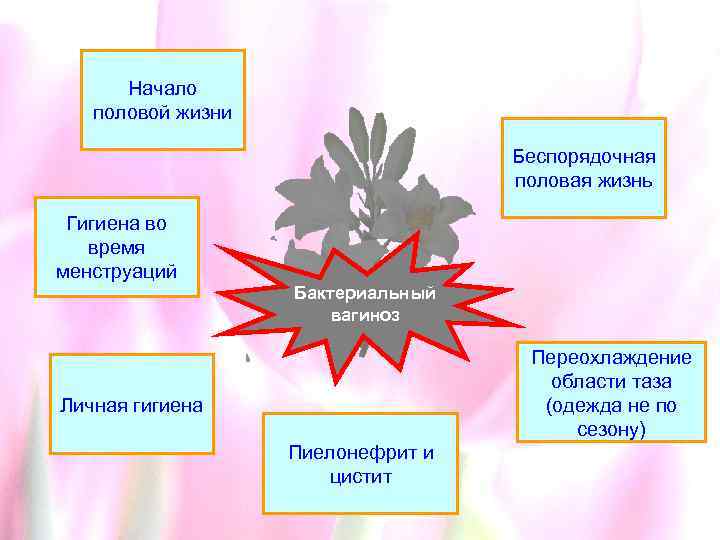 Презентация гигиена половой жизни