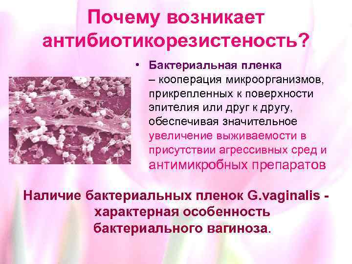 Почему возникает антибиотикорезистеность? • Бактериальная пленка – кооперация микроорганизмов, прикрепленных к поверхности эпителия или