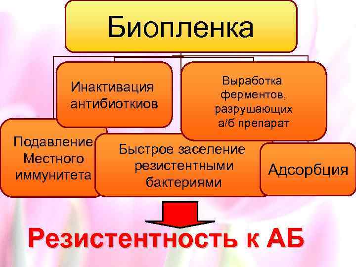 Биопленка Инактивация антибиоткиов Подавление Местного иммунитета Выработка ферментов, разрушающих а/б препарат Быстрое заселение резистентными
