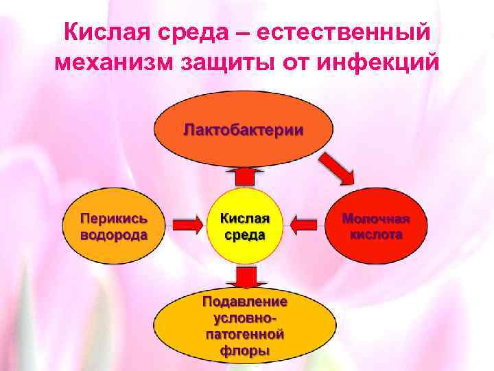 Кислая среда – естественный механизм защиты от инфекций 