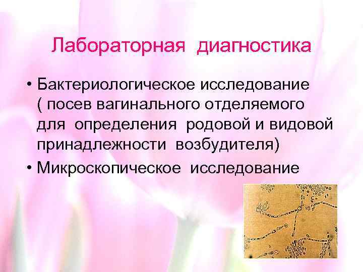 Лабораторная диагностика • Бактериологическое исследование ( посев вагинального отделяемого для определения родовой и видовой