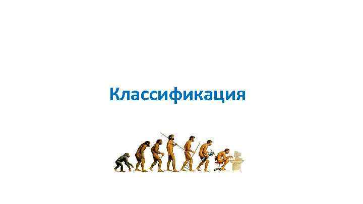 Классификация 