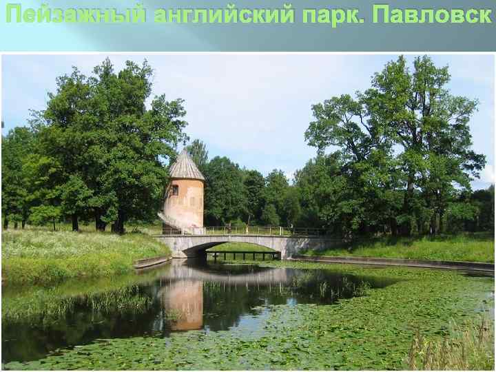 Пейзажный английский парк. Павловск 