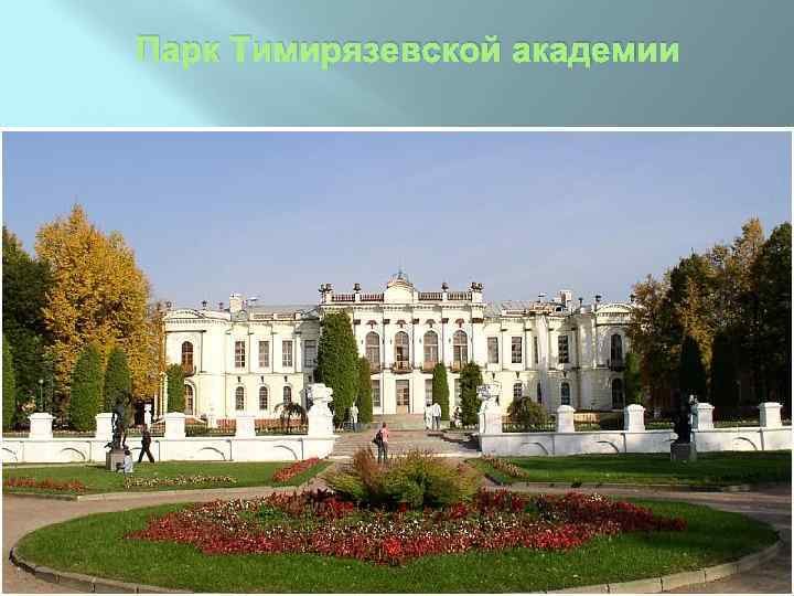 Парк Тимирязевской академии 