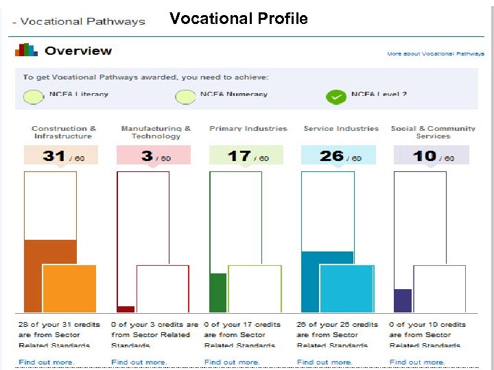 Vocational Profile 