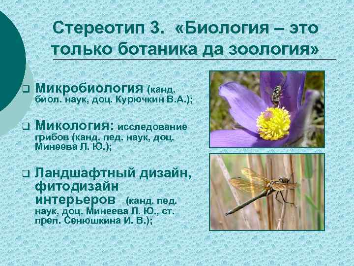 Стереотип 3. «Биология – это только ботаника да зоология» q Микробиология (канд. q Микология: