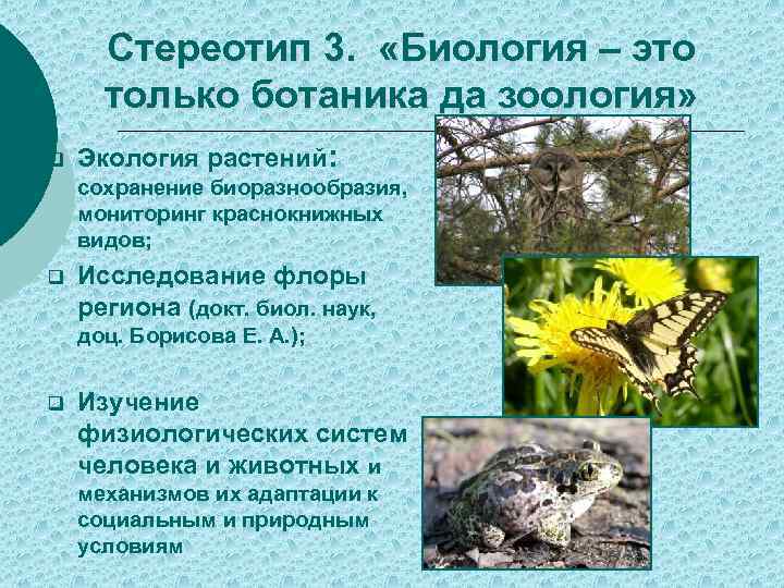 Стереотип 3. «Биология – это только ботаника да зоология» q Экология растений: сохранение биоразнообразия,
