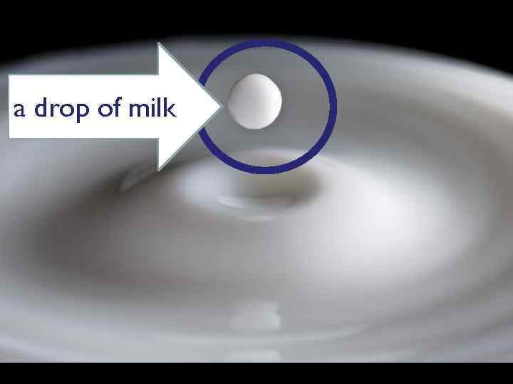 a drop of milk 