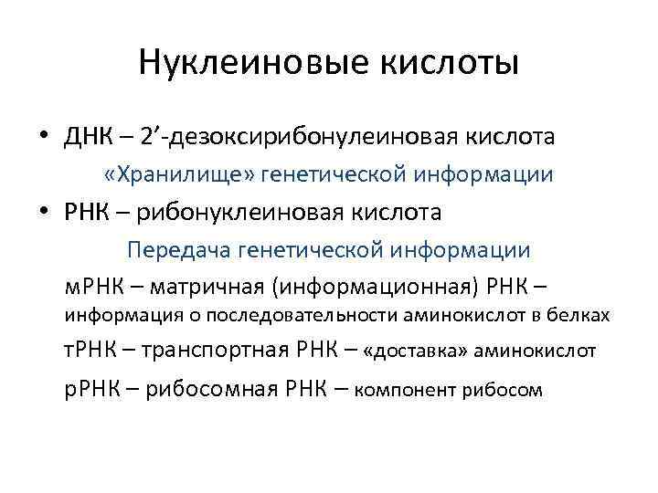 Нуклеиновые кислоты • ДНК – 2’-дезоксирибонулеиновая кислота «Хранилище» генетической информации • РНК – рибонуклеиновая