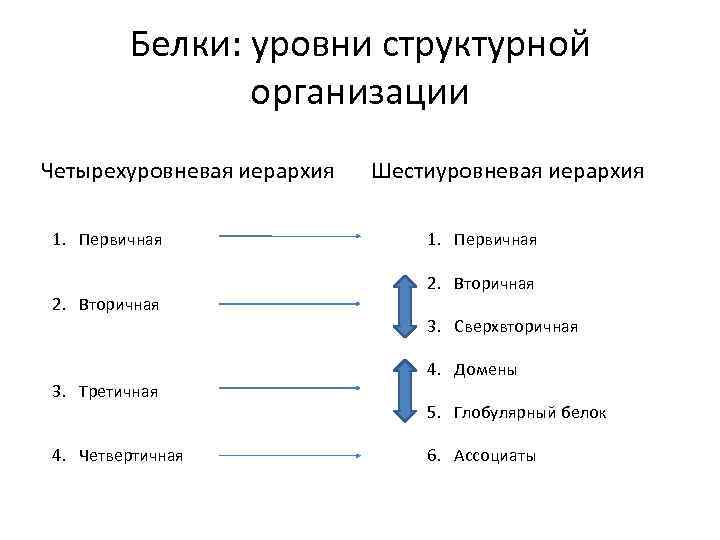 Схема структурной организации восприятия первичной локализованной боли