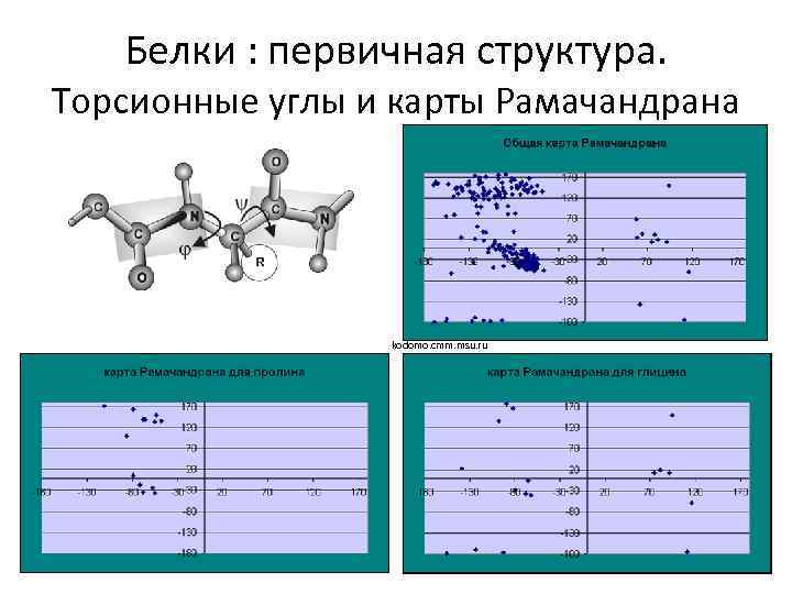 Белки : первичная структура. Торсионные углы и карты Рамачандрана kodomo. cmm. msu. ru 