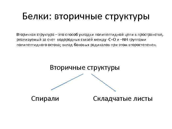 Белки: вторичные структуры Вторичная структура – это способ укладки полипептидной цепи в пространстве, реализуемый