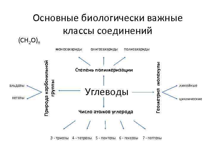 Основные биологически важные классы соединений (СН 2 О)n кетозы олигосахариды полисахариды Степень полимеризации Углеводы