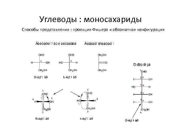 Углеводы : моносахариды Способы представления : проекция Фишера и абсолютная конфигурация 