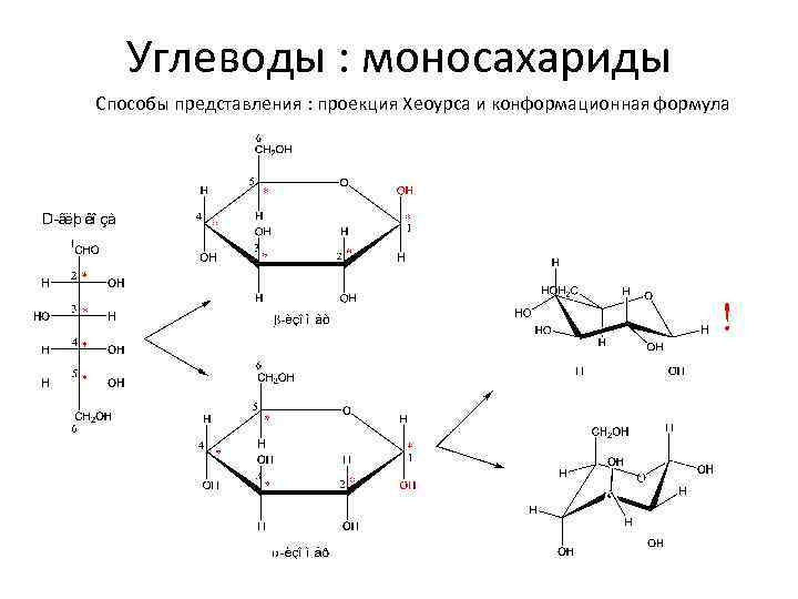 Углеводы : моносахариды Способы представления : проекция Хеоурса и конформационная формула 