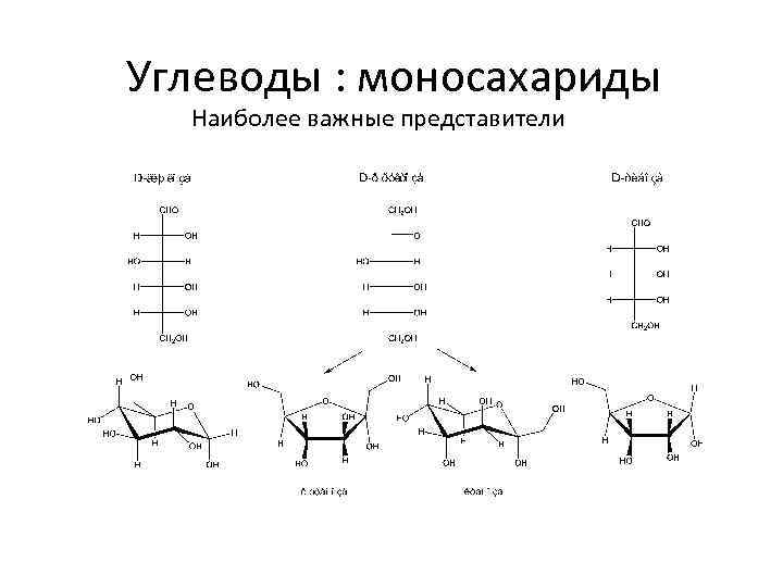 Энергетическая функция моносахаридов. Формулы углеводов моносахаридов. Функции моносахаридов дисахаридов и полисахаридов. Классификация углеводов моносахариды дисахариды и полисахариды. Представители моносахаридов таблица.