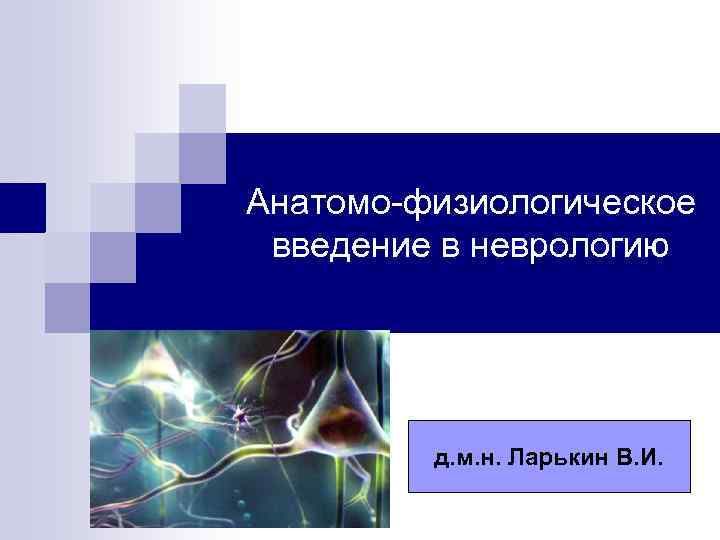 Анатомо физиологическое введение в неврологию д. м. н. Ларькин В. И. 
