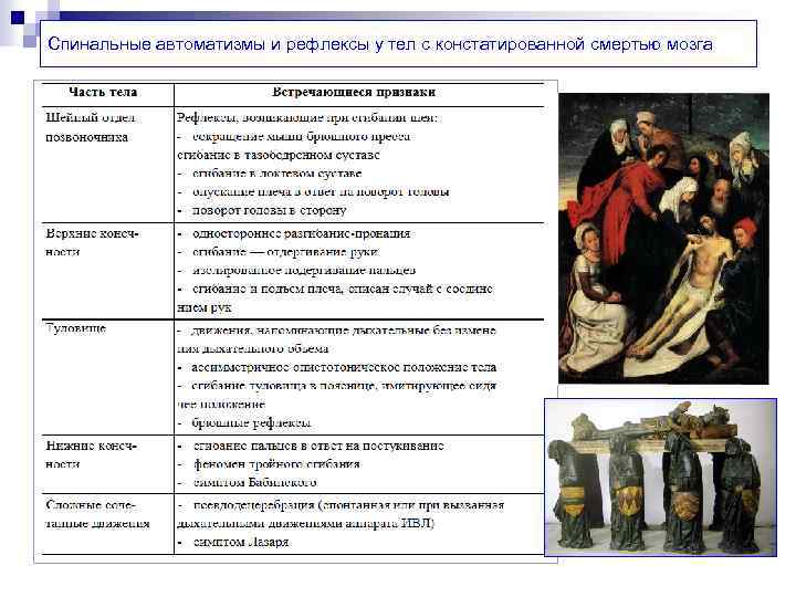 Спинальные автоматизмы и рефлексы у тел с констатированной смертью мозга 