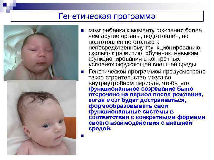 Генетическая программа n n n мозг ребенка к моменту рождения более, чем другие органы,