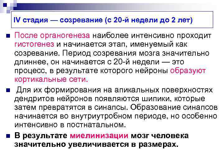IV стадия — созревание (с 20 -й недели до 2 лет) n n n