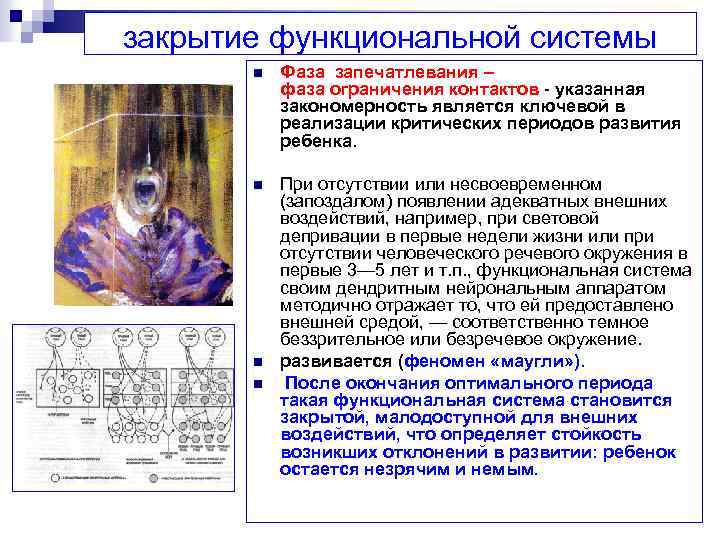 закрытие функциональной системы n Фаза запечатлевания – фаза ограничения контактов указанная закономерность является ключевой