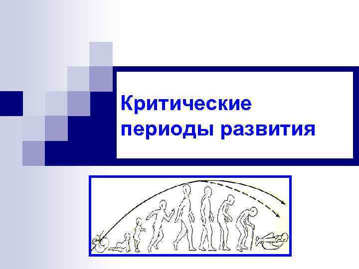 Критические периоды развития 