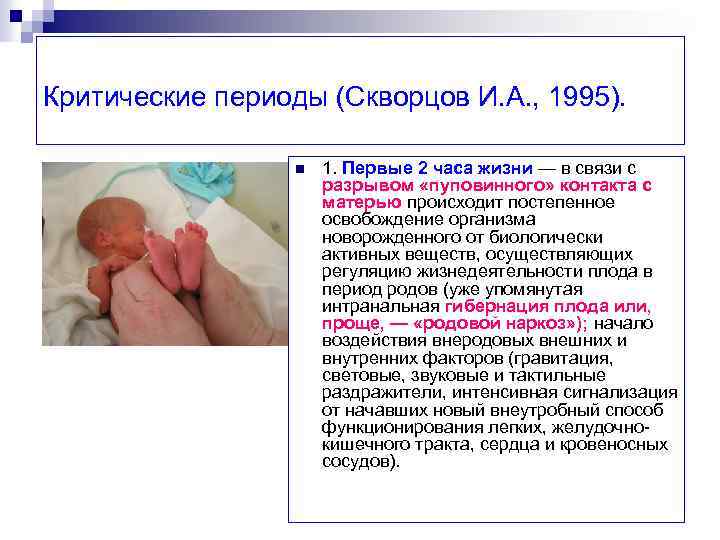 Критические периоды (Скворцов И. А. , 1995). n 1. Первые 2 часа жизни —