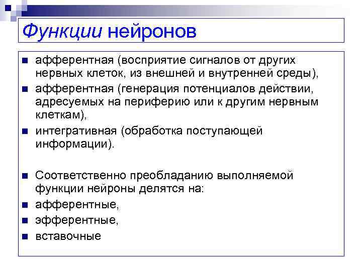 Функции нейронов n n n n афферентная (восприятие сигналов от других нервных клеток, из