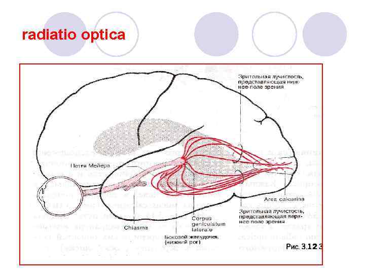 radiatio optica 