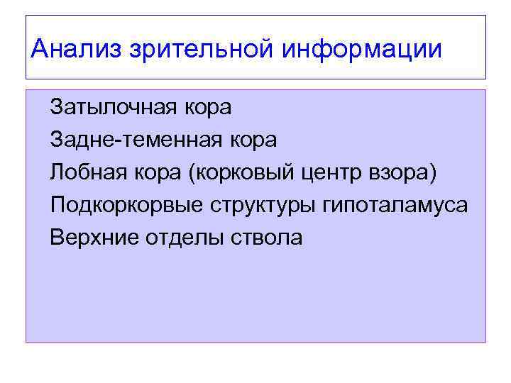 Анализ зрительной информации l Затылочная кора l Задне-теменная кора l Лобная кора (корковый центр