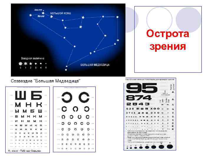 Острота зрения 