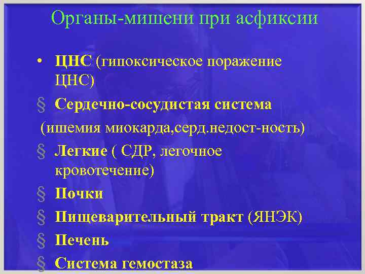Органы-мишени при асфиксии • ЦНС (гипоксическое поражение ЦНС) § Сердечно-сосудистая система (ишемия миокарда, серд.
