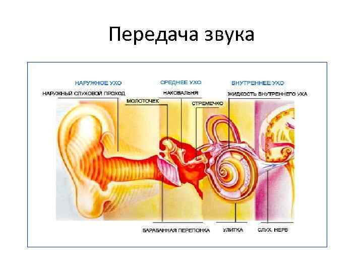 Передача звука 