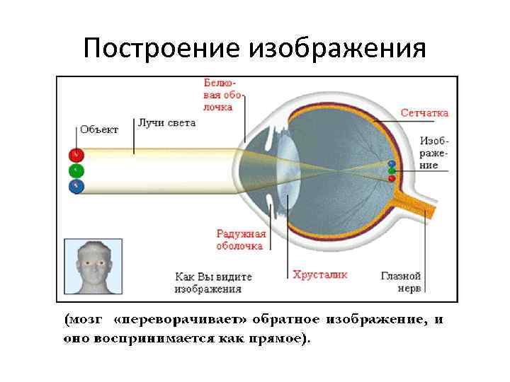 Построение изображения 