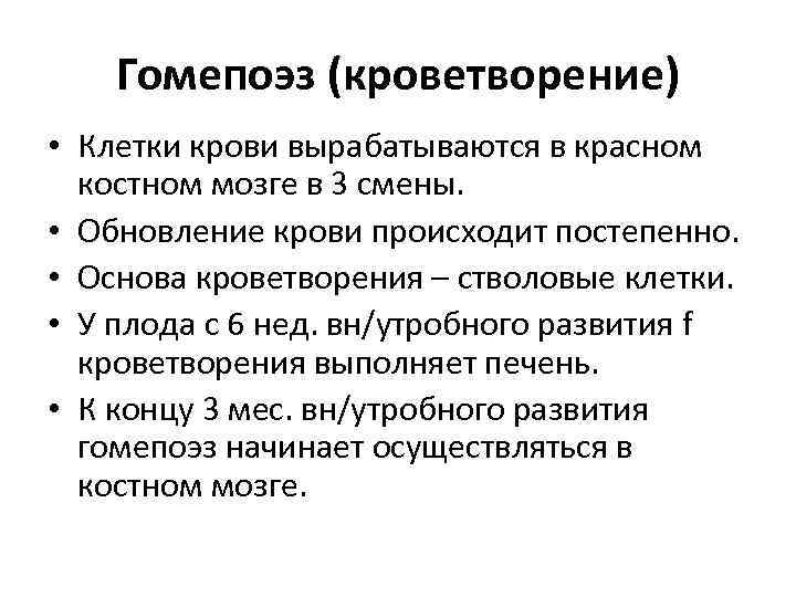 Гомепоэз (кроветворение) • Клетки крови вырабатываются в красном костном мозге в 3 смены. •