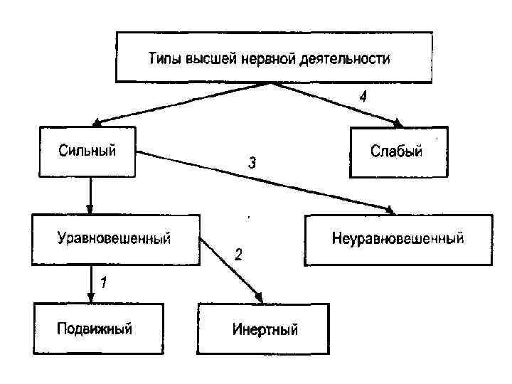 Определение типа внд по анамнестической схеме