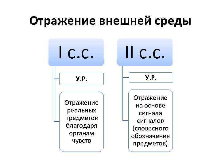 Отражение внешней среды I с. с. II с. с. У. Р. Отражение реальных предметов