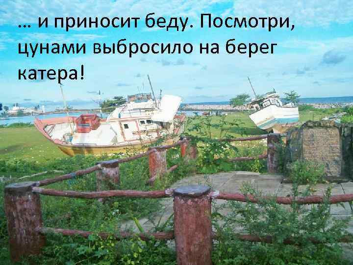 … и приносит беду. Посмотри, цунами выбросило на берег катера! 