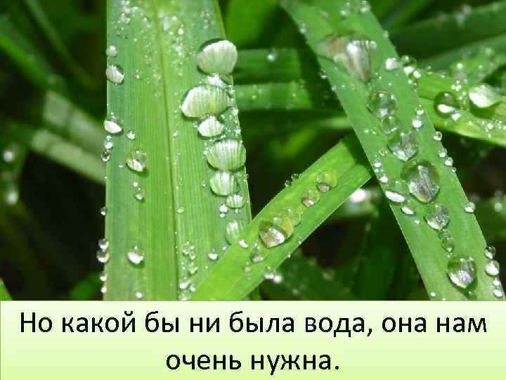 Но какой бы ни была вода, она нам очень нужна. 