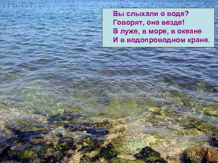 Вы слыхали о воде? Говорят, она везде! В луже, в море, в океане И