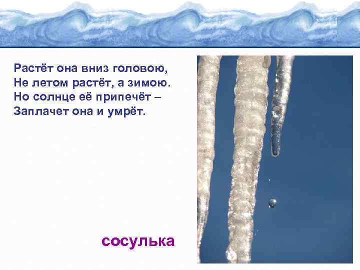 Растёт она вниз головою, Не летом растёт, а зимою. Но солнце её припечёт –