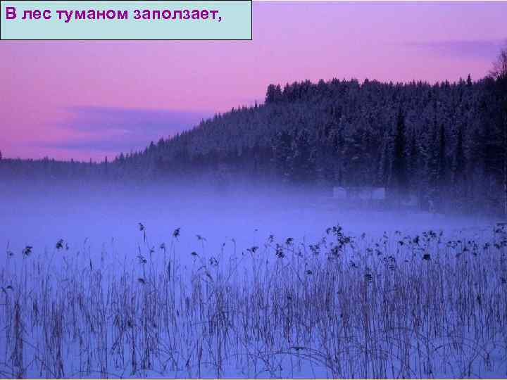 В лес туманом заползает, 