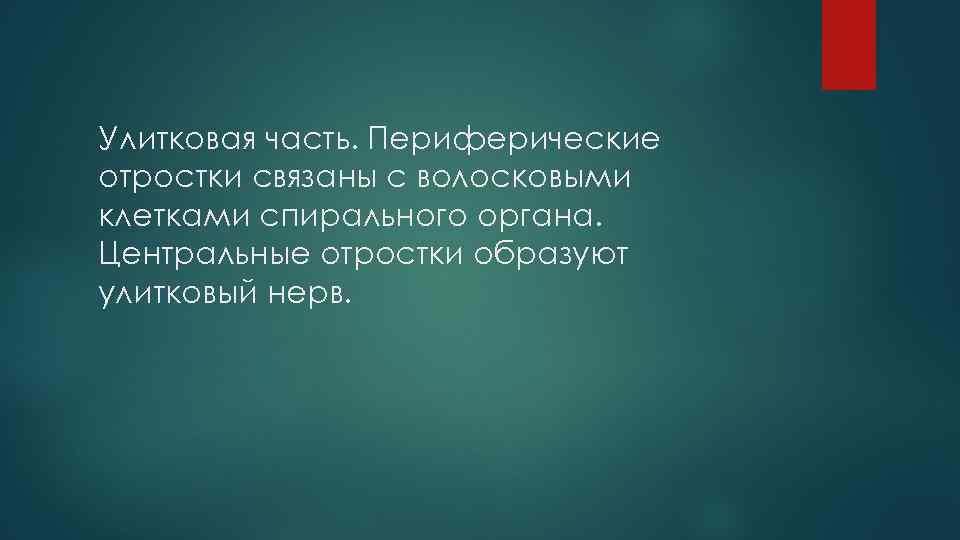 Улитковая часть. Периферические отростки связаны с волосковыми клетками спирального органа. Центральные отростки образуют улитковый