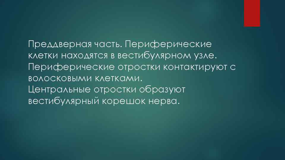 Преддверная часть. Периферические клетки находятся в вестибулярном узле. Периферические отростки контактируют с волосковыми клетками.