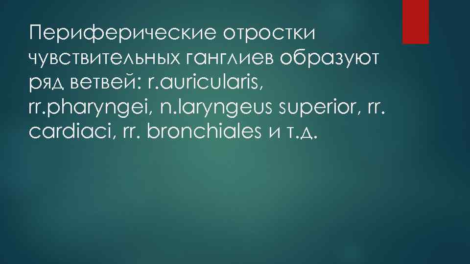 Периферические отростки чувствительных ганглиев образуют ряд ветвей: r. auricularis, rr. pharyngei, n. laryngeus superior,